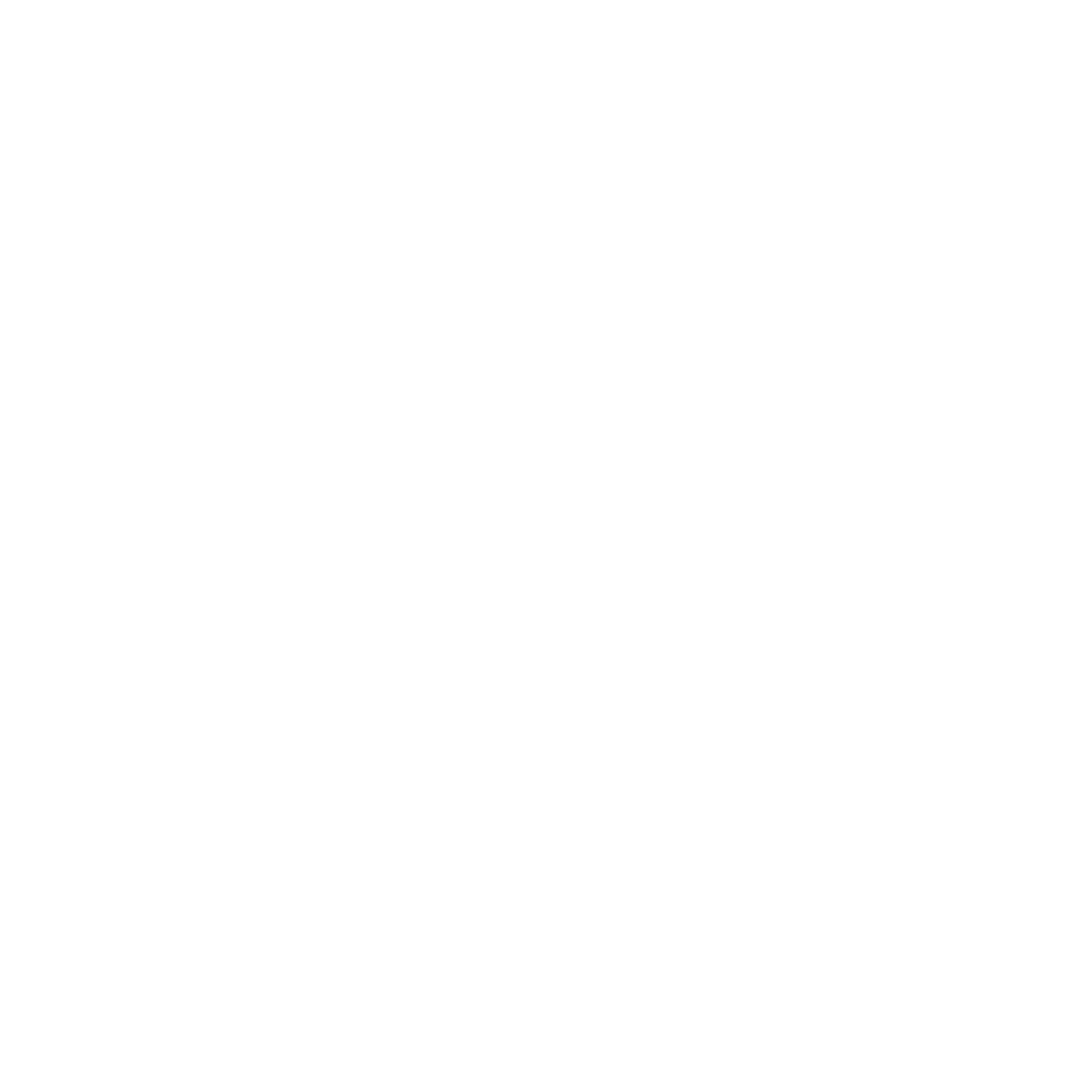 ages logo