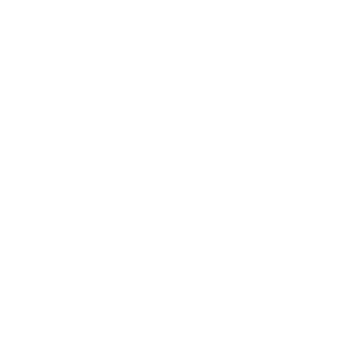 diallo logo